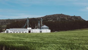 Tienen más de 950 mil hectáreas y difunden un hallazgo clave para el agro