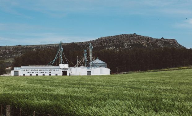 Tienen más de 950 mil hectáreas y difunden un hallazgo clave para el agro