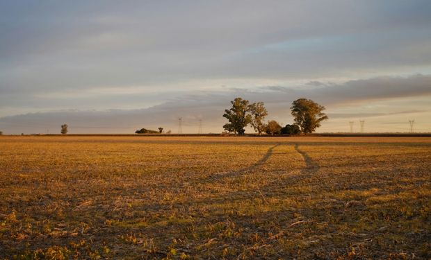 ¿Alcanzan las lluvias para revertir la sequía en el campo?