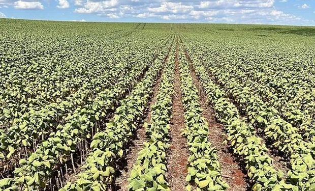 Rio Grande do Sul enfrenta estiagem pelo terceiro ano consecutivo. (foto - Fecoagro-RS)