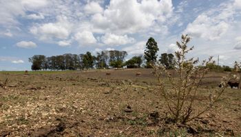 La Niña pode terminar antes do previsto, indicam dados da NOAA