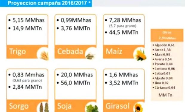 Estimaciones de Ministerio de Agroindustria para el ciclo 2016/17.