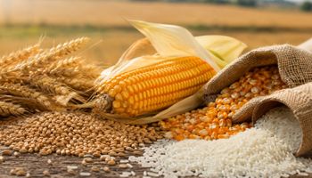 Mapa define preços para liberação de estoques públicos de arroz, milho, trigo e mandioca