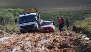 Emater divulga números totais sobre catástrofe ambiental no Rio Grande do Sul