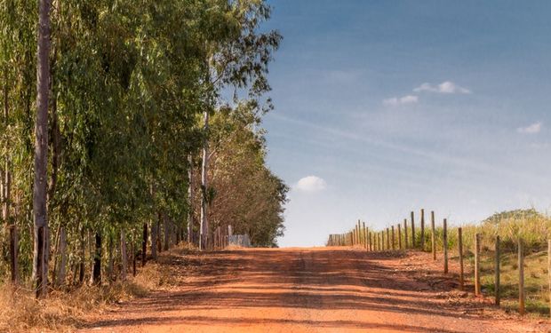 Programa também visa melhorar a qualidade de vida da população rural