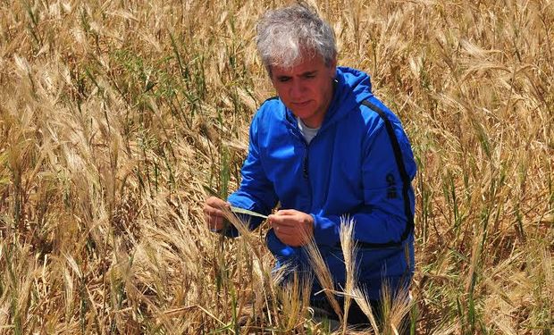 Marcelo Carmona, investigador de la cátedra de Fitopatología de la Facultad de Agronomía de la UBA.