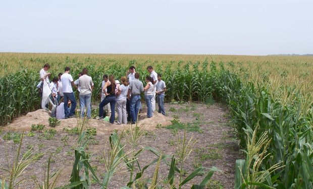 El mayor número de estudiantes de agronomía registrados en la última década ocurrió en el año 2012.