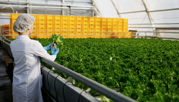 AgriFoodTech en Argentina: las 42 startups que establecen las bases del hub latinoamericano del sector