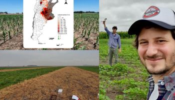 Estudio inédito: ¿Dónde se emite el gas más potente del agro? Es 310 veces más potente que el CO₂