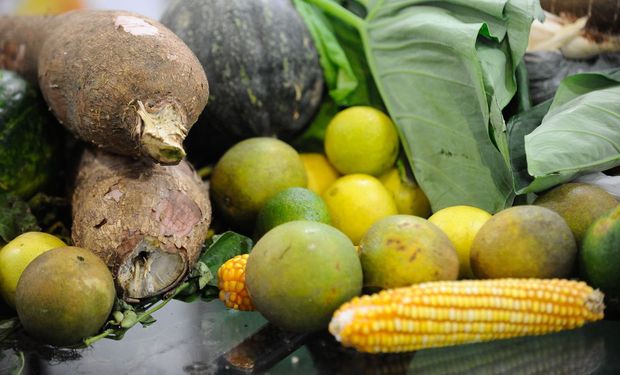 Mata Atlântica responde por 52% da produção vegetal de alimentos de consumo direto do país (exceto milho, soja e cana). (foto - Agência Brasil)