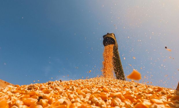 São Martinho quer dobrar produção de etanol de milho com R$1 bi