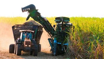 Usinas de cana-de-açúcar batem recorde de produção em MS