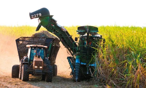 Produção de açúcar ultrapassou 2 milhões de toneladas. (Foto - Biosul)