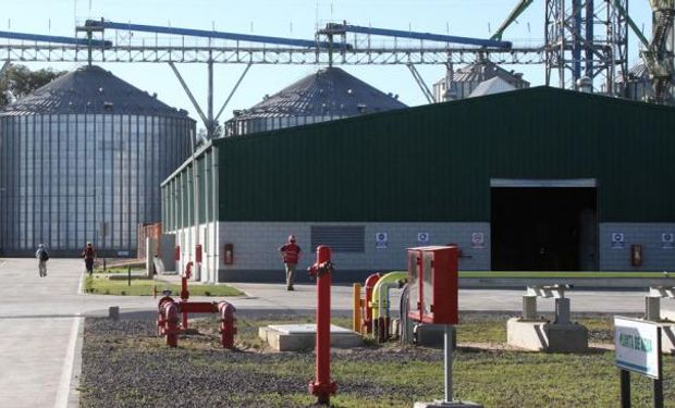 Córdoba al frente. Las tres empresas que producen etanol a base de maíz instaladas en la provincia, invirtieron más de U$S 300 millones (Foto: La Voz)