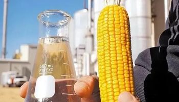 Etanol de milho deve retomar margem atrativa na safra 2025/26, projeta Datagro