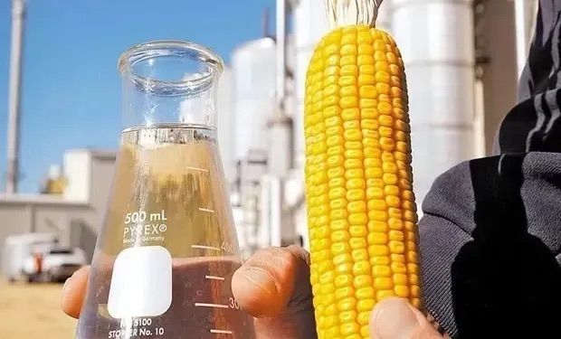 Etanol de milho deve retomar margem atrativa na safra 2025/26, projeta Datagro