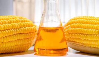 Etanol de milho avança no Matopiba e impulsiona nova fronteira da bioenergia