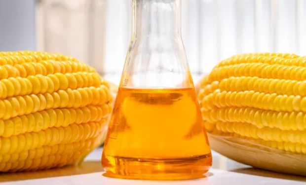 Etanol de milho avança no Matopiba e impulsiona nova fronteira da bioenergia