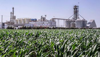 Biocombustibles: el Gobierno aumentó un 6,6 % el precio del bioetanol