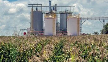 Un campo de Córdoba instala la primera planta de biocombustible para autoconsumo bajo el programa BIOCBA