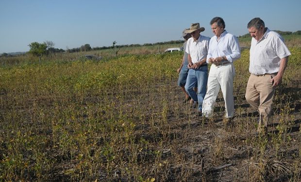 El ministro Etchevehere recorrió junto a productores entrerrianos, los campos perjudicados por la sequía.