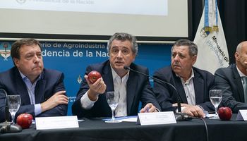 La exportación de peras y manzanas creció un 49% 