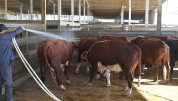 Uruguay: suspenden aplicación del etión en la ganadería