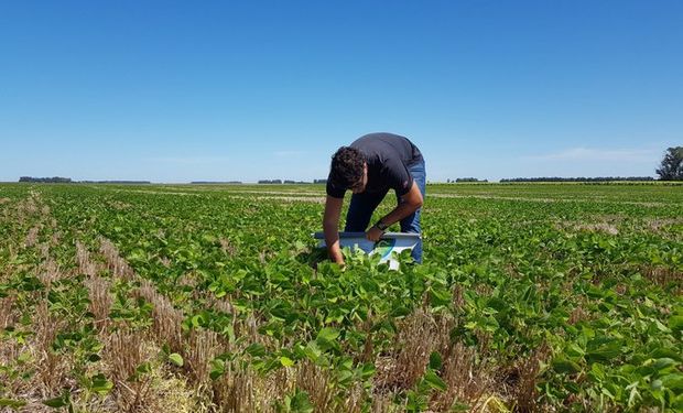 La cuarentena en el campo: comparten imágenes desde distintos puntos del país