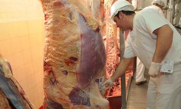 El nuevo sistema permite generar un registro electrónico que controla la trazabilidad total del movimiento de los animales.