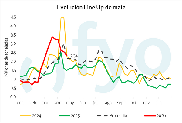 line up de maiz