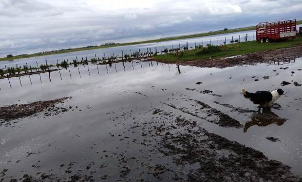 Por las excesivas lluvias, piden declarar en emergencia a La Pampa
