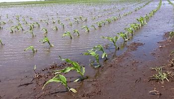 Claves para el manejo de excedentes hídricos