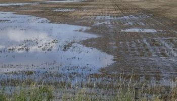 Período con precipitaciones complicó las actividades agrícolas