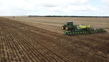 Excesso de chuva atrasa plantio do milho em Mato Grosso e preocupa produtores