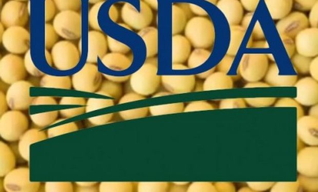 Operadores tomaron posiciones de cara al reporte del USDA.
