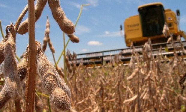 USDA: los analistas esperan en el reporte del jueves una reducción de 2,5 millones de toneladas de soja para Argentina.