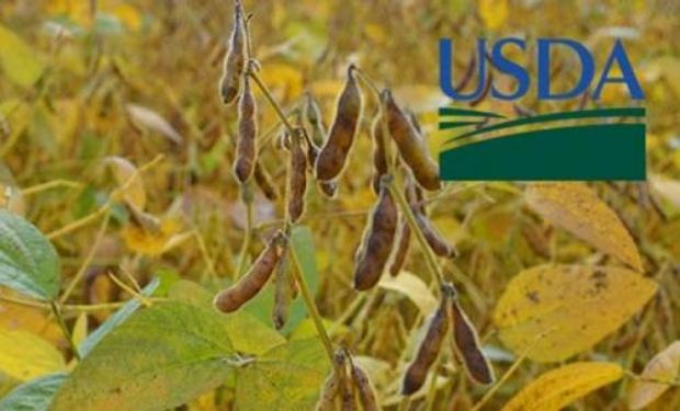 Expectativas de cara a un nuevo Reporte del USDA