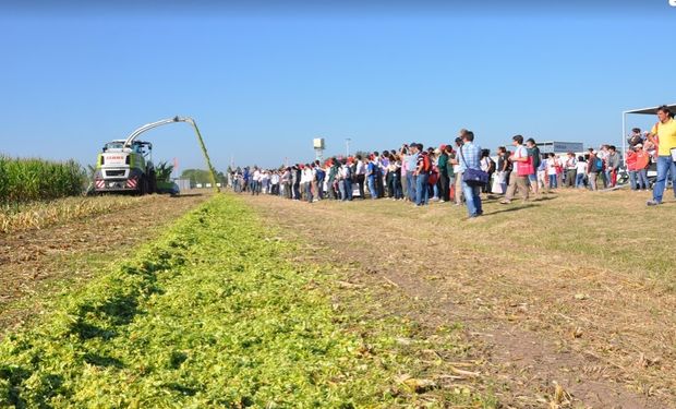 Las jornadas Experiencia Forrajera organizadas por CLAAS continúan creciendo y se han transformado en un encuentro de capacitación.