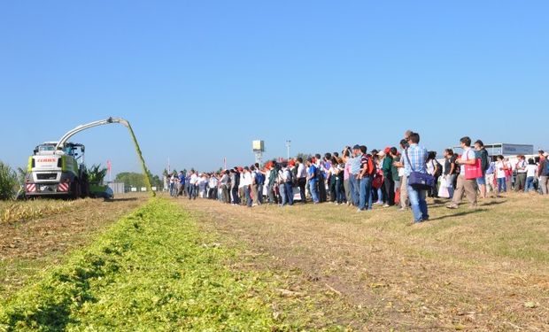 CLAAS vuelve a poner al negocio forrajero en primer plano.