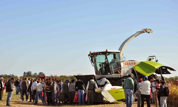 CLAAS vuelve a abrir la puerta de sus campos experimentales. Fuente: SAVIA.