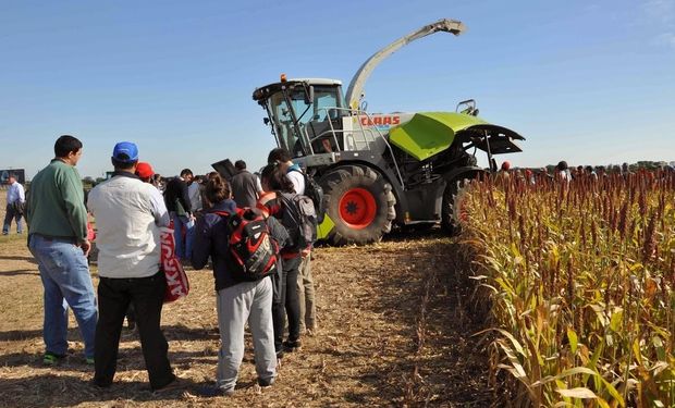 CLAAS Argentina vuelve a abrir la puerta de sus campos experimentales para capacitar en forma libre y gratuita.