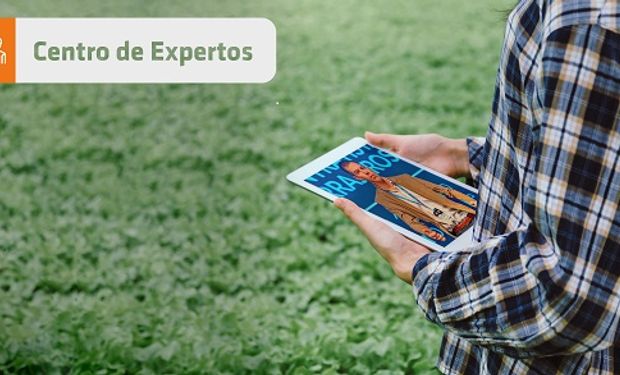 9 y 10 de septiembre en Expoagro Digital.