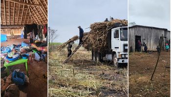 Denuncian trabajo infantil en un campo de Salta: había 31 personas en condiciones de explotación laboral