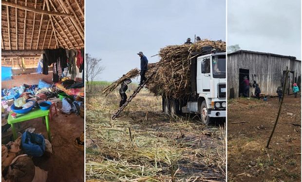 Denuncian trabajo infantil en un campo de Salta: había 31 personas en condiciones de explotación laboral