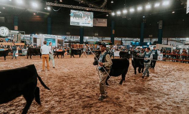 Expo Angus de Otoño 2024, "una fiesta donde todos tendrán un lugar”: cómo son las actividades de encuentro en La Rural de Palermo