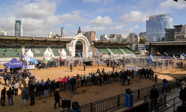 expo angus de otoño