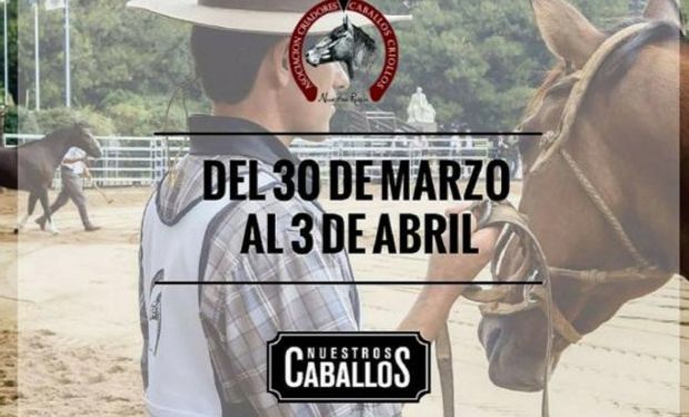 Exposición "Nuestros caballos" comienza hoy.