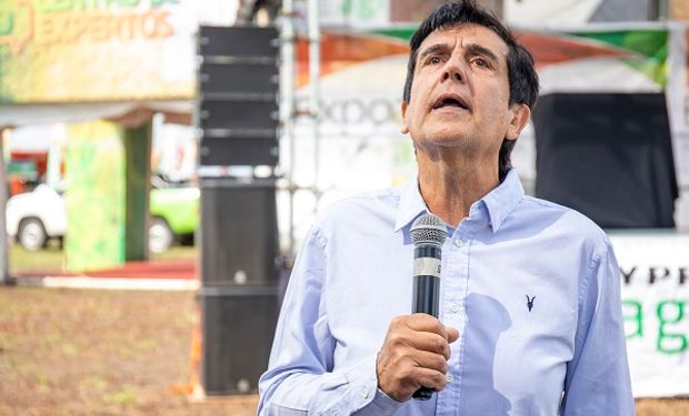 Shock y cambio de régimen: las definiciones de Carlos Melconian sobre el acuerdo con el FMI y una visión para 2023