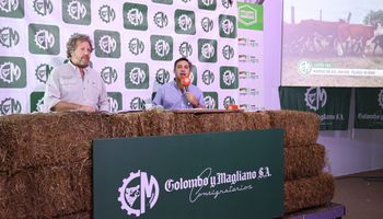 EN VIVO: rematan más de 35.000 cabezas en una sala histórica para el agro