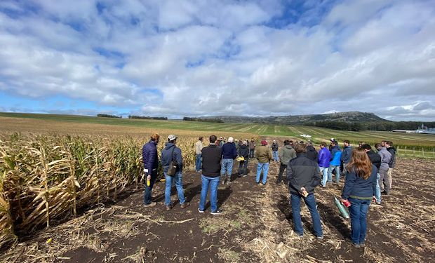 Productores presentarán un espacio inédito en Expoagro 2024: "Nuestro objetivo es mostrar la película, no la foto"